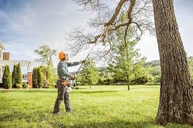 Best Arborist Consultation Services  in Pennington Gap, VA