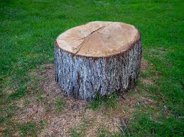 Best Commercial Tree Services  in Pennington Gap, VA