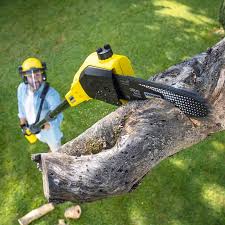 Best Lawn Watering Services  in Pennington Gap, VA