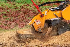 Best Tree Removal  in Pennington Gap, VA
