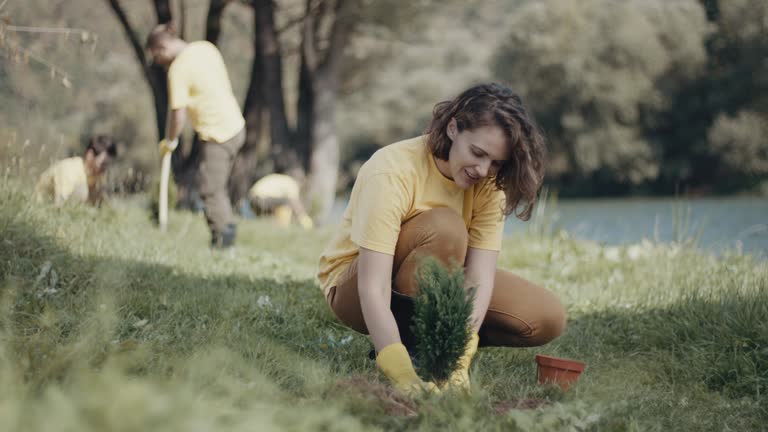 Best Lawn Mowing  in Pennington Gap, VA