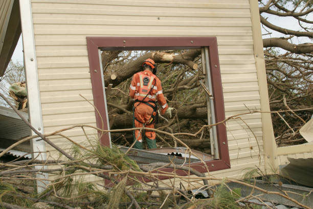 Best Fruit Tree Pruning  in Pennington Gap, VA
